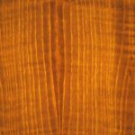 Backlit translucent wood veneer with warm natural grain
