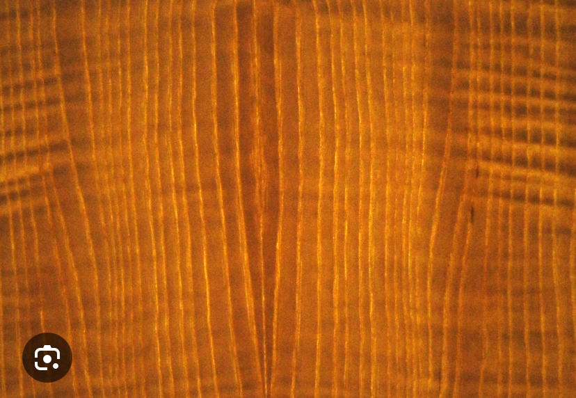 Backlit translucent wood veneer with warm natural grain
